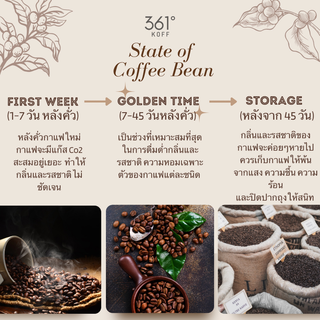 hua-hin-medium-blend-limited-bean-เมล็ดกาแฟอราบิก้าแท้-100-คั่ว