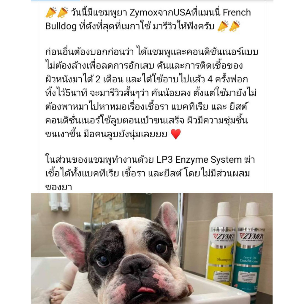 zymox-shampoo-แชมพูโรคผิวหนัง-สำหรับสัตว์เลี้ยง-เชื้อรา-ยีสต์-แบคทีเรีย-คัน-ผิวหนังอักเสบ-สำหรับสัตว์ทุกชนิด-จากusa