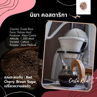 เมล็ดกาแฟ นิยา Costa Rica Light Roast 100 กรัม จากไร่ Volcan Azul