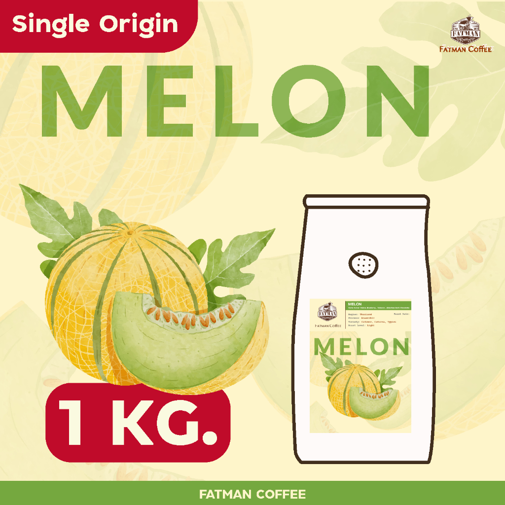 ราคาส่ง-1-3-kg-เมล็ดกาแฟ-น่าน-melon-thailand