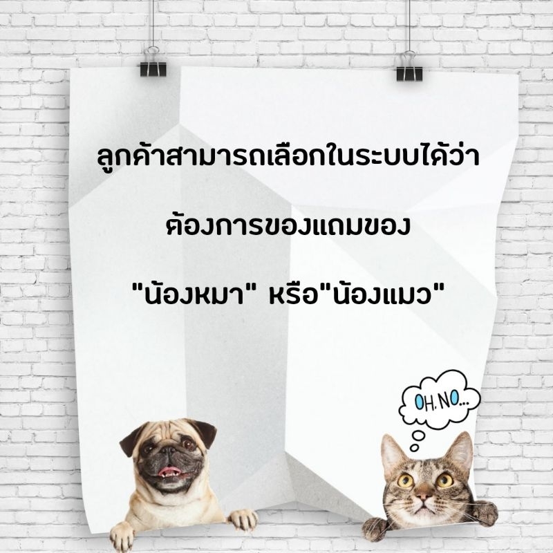 ของแถม-catholiday-ของแถมเมื่อซื้อสินค้าที่กำหนดครบ-1-000-บาท