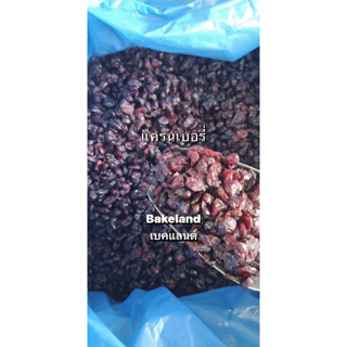 แครนเบอร์รี่ เกรดA (Cranberry) ผลไม้อบแห้ง 500g/1Kg ไม่มีน้ำตาล อมเปรี้ยวอมหวาน มีประโยชน์ต่อสุขภาพ Bakeland เบคแลด์