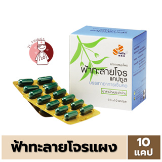 ฟ้าทะลายโจร แคปซูล 350mg. Phyto Care แผงละ 10 แคปซูล ไฟโตแคร์ GPO ฟ้าทะลายโจรองค์การเภสัชกรรม Phytocare