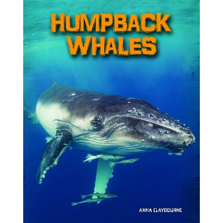 DKTODAY หนังสือ INFOSEARCH LIVING IN THE WILD:HUMPBACK WHALES