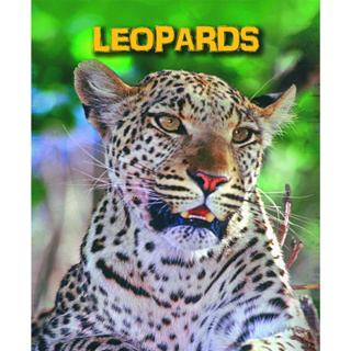 DKTODAY หนังสือ INFOSEARCH LIVING IN THE WILD:LEOPARDS