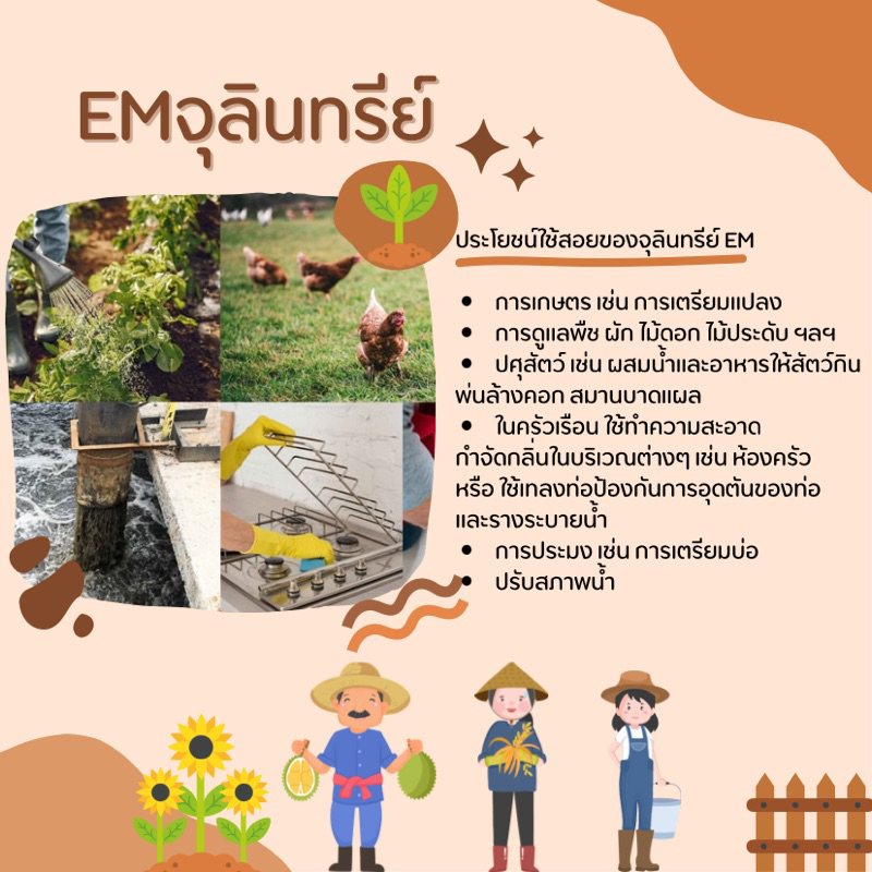 em-อีเอ็ม-หัวเชื้อจุลินทรีย์-น้ำหมัก-เข้มข้น-ขนาด-750-มล