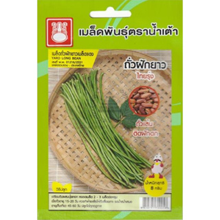 เมล็ดพันธุ์ ถั่วฝักยาวแดง ไทยรุ่ง ตราน้ำเต้า