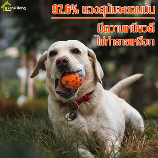 ลูกบอลสุนัข ของเล่นสุนัข Dog Training Ball ยางกัด บอลสัตว์เลี้ยง เด้งดึ๋ง บอลหมา บอลยาง ของเล่นลูกบอล มี 2 ขนาดให้เลือก