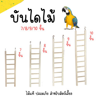 บันไดไม้ เสาขนาด 1ซม.2-11 ขั้นไต่ ที่เกาะ สำหรับนก กระรอก ชูการ์ ไม้ธรรมชาติ ไม้ธรรมชาติ ปลอดภัยต่อสัตว์เลี้ยง ตกแต่งกรง