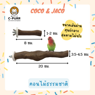 Coco &amp; Jaco คอนนก คอนไม้เลื้อย ธรรมชาติ