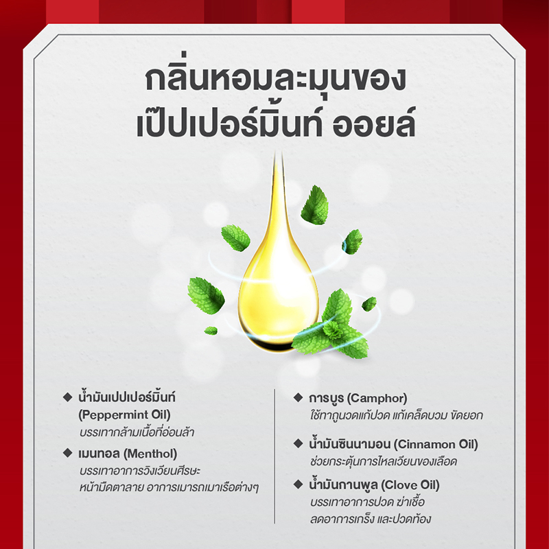 siang-pure-oil-formula-il-ยาหม่องน้ำเซียงเพียว-สูตร-2-ขนาด-7-ซีซี