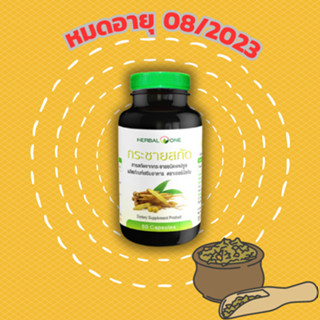 สินค้าราคาพิเศษ หมดอายุ 08/2023 อ้วยอันโอสถ กระชายสกัด แคปซูล เฮอร์บัลวัน Herbal One 60 แคปซูล Finger Root Extract