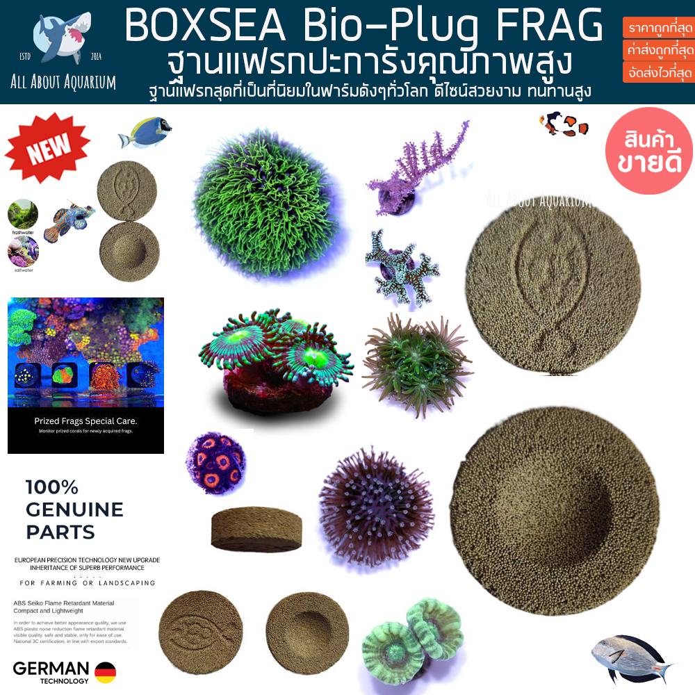 boxsea-bio-plug-1ชิ้น-ฐานแฟรก-ที่กำลังเป็นที่นิยมในฟาร์มทั่วโลก-แฟรกปะการัง-แฟรก-ปะการัง-coral-frag-plug-คุณภาพสูง-ปลา