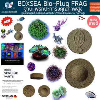 BOXSEA BIO PLUG 1ชิ้น  ฐานแฟรก ที่กำลังเป็นที่นิยมในฟาร์มทั่วโลก แฟรกปะการัง แฟรก ปะการัง coral frag plug คุณภาพสูง ปลา