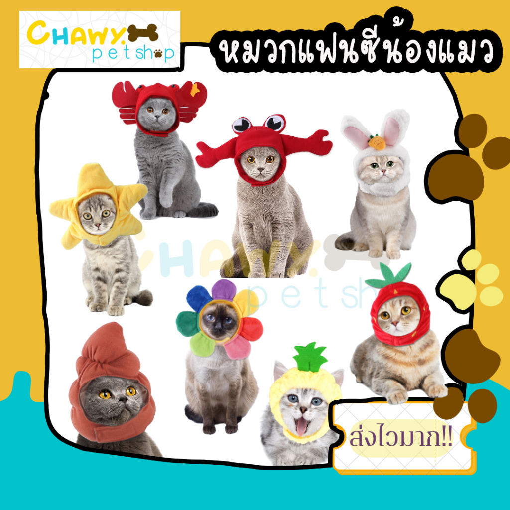 หมวกสัตว์เลี้ยง-หลายแบบ-น่ารัก