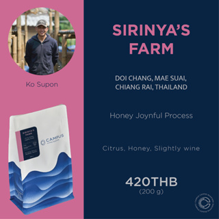 เมล็ดกาแฟ Sirinyas farm (Honey joynful process) ดอยช้าง, แม่สรวย, เชียงราย 200 กรัม (คั่วอ่อน)
