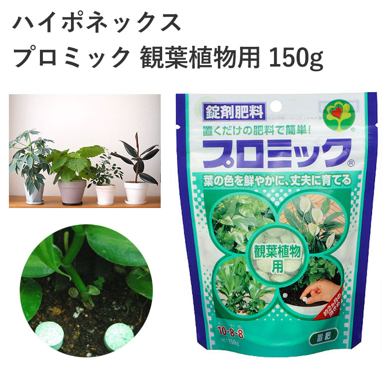 ️ส่งตรงจากญี่ปุ่น From Japan Hyponex Tablet Fertilizer for Promic ...