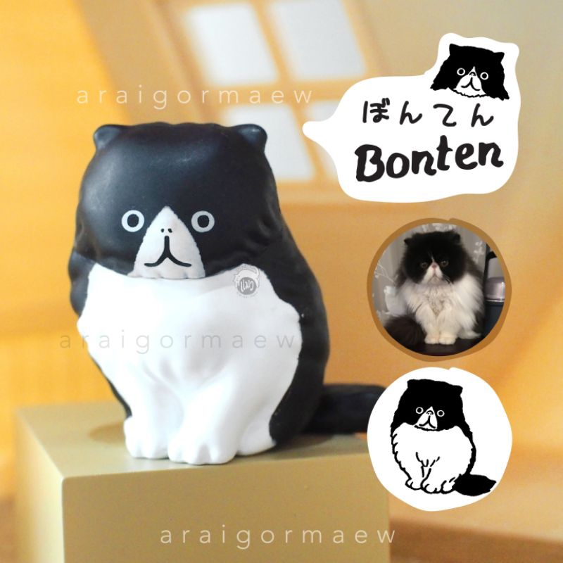 พร้อมส่ง-ลิขสิทธิ์แท้-ญี่ปุ่น-กาชาปองแมวขาวดำ-ผลงาน-shirokurosan-มีให้เลือก-4-แบบ