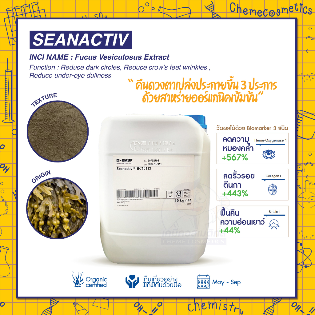 seanactiv-สารสกัดฟูคอยแดนจากสาหร่ายออร์แกนิค-ช่วยลดสัญญาณของริ้วรอยรอบดวงตา-ลดรอยคล้ำและรอยตีนกา-เพิ่มความส่องสว่าง