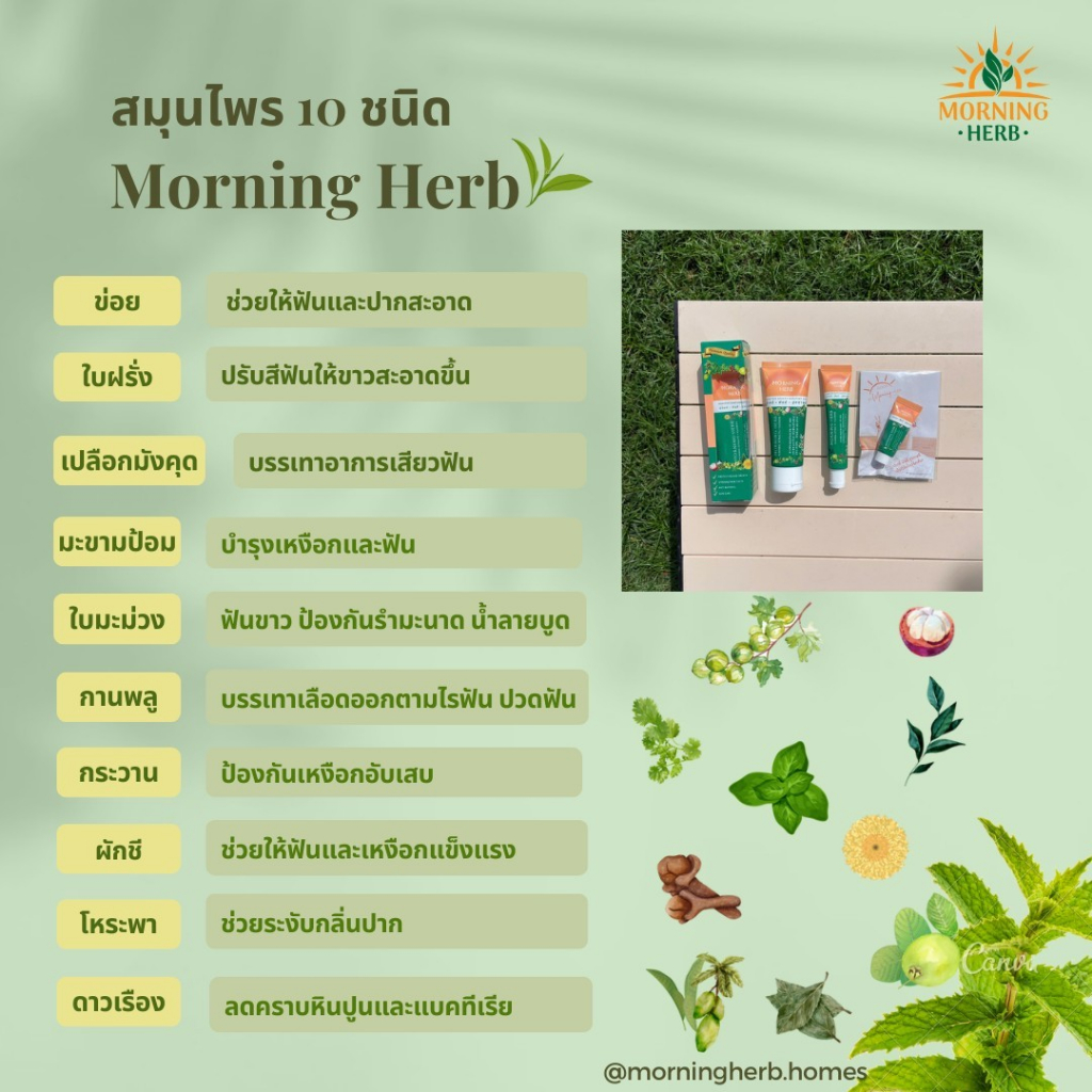 แถมฟรี-ขนาด10g-morning-herb-morning-herb-toothpaste-ยาสีฟัน-ปากสะอาด-ลมหายใจหอมสดชื่นยาวนาน