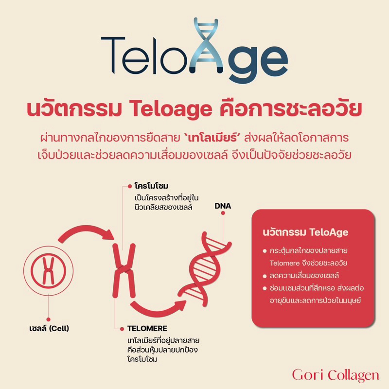 gori-collagen-โกริคอลลาเจน-เพื่อผิวกระจ่างใส-ผมเล็บ-วิตามินผิวใส-ลดสิว-1-กล่องมี-7-ซอง