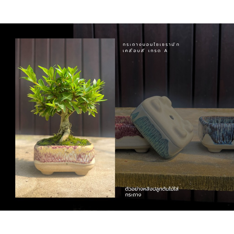 กระถางบอนไซ-เซรามิก-บอนไซจิ๋ว-ceramic-bonsai-pot