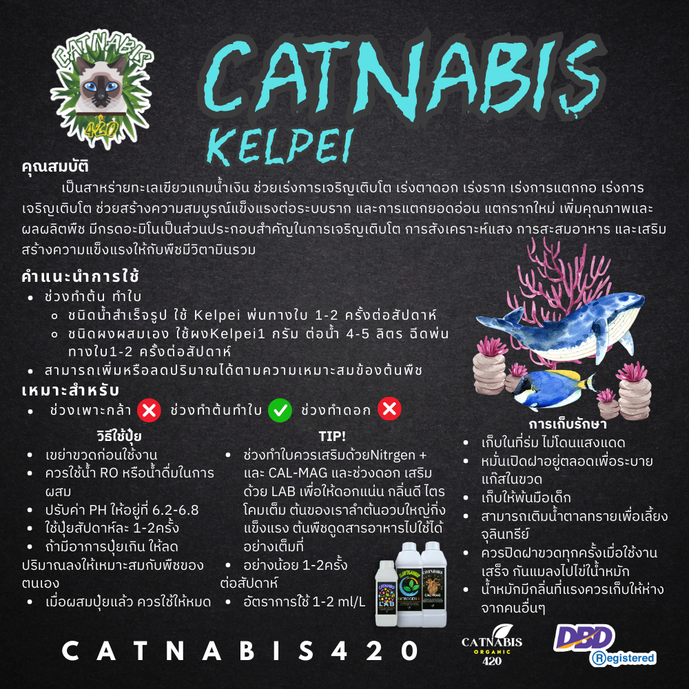 catnabis-kelpei-สาหร่ายทะเล-ชนิดผง-เปิดตาดอก-แตกกอ-เร่งการเจริญเติบโต-เร่งตาดอก-เร่งรากเร่งการแตกกอ-เร่งการเจริญเติบโต