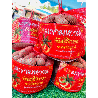 มะขามหวาน พันธุ์สีทอง จ.เพชรบูรณ์ photo