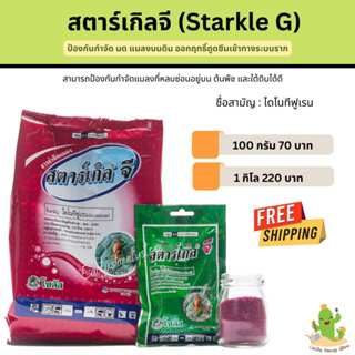 สตาร์เกิล จี (Starkle G)