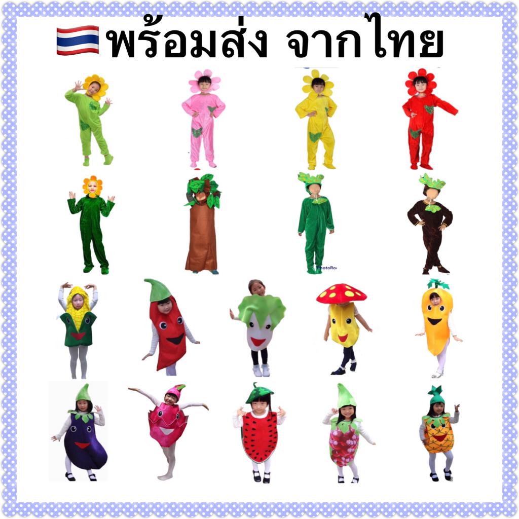 ชุดแฟนซีดอกไม้-ชุดแฟนซีต้นไม้-ชุดต้นไม้-ชุดดอกไม้-ชุดแฟนซีผัก-ชุดแฟนซีผลไม้-ชุดข้าวโพด-ชุดเห็ด-ชุดแครอท-ชุดแก้วมังกร