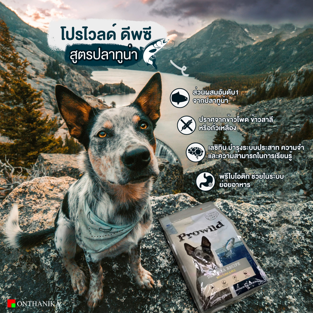 prowild-อาหารสุนัขโปรไวด์-3kg-ทูน่า-และ-แกะ