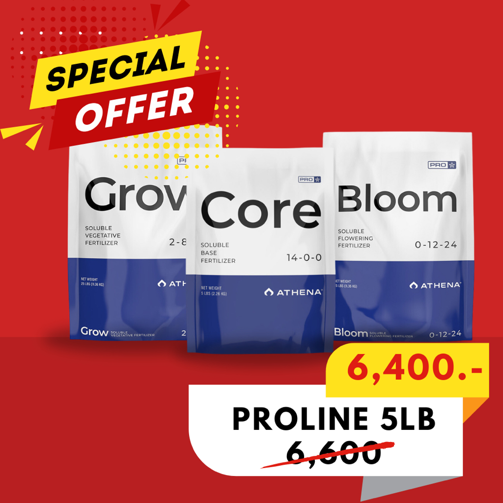 Set Athena ProLine Core+Grow+bloom ปุ๋ย สารอาหารพื้นฐานสำคัญ ทุกช่วงทำ ...