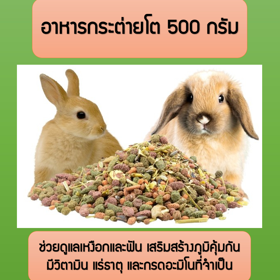 อาหารกระต่ายโต-แบ่งขาย-500-กรัม-พร้อมส่งในไทย