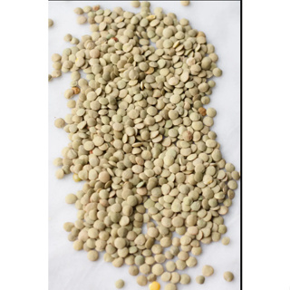 Green split lentils grains 500G