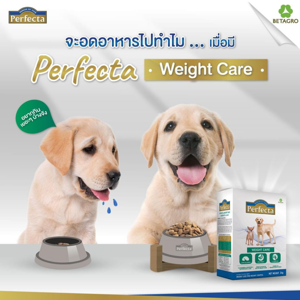 พร้อมส่งมีของแถม-สูตรรักษาโรคไต-500g-อาหารสุนัขโรคผิวหนังแพ้อาหาร-อาหารสุนัขลดน้ำหนัก-อาหารสุนัขควบคุมน้าหนัก-bn