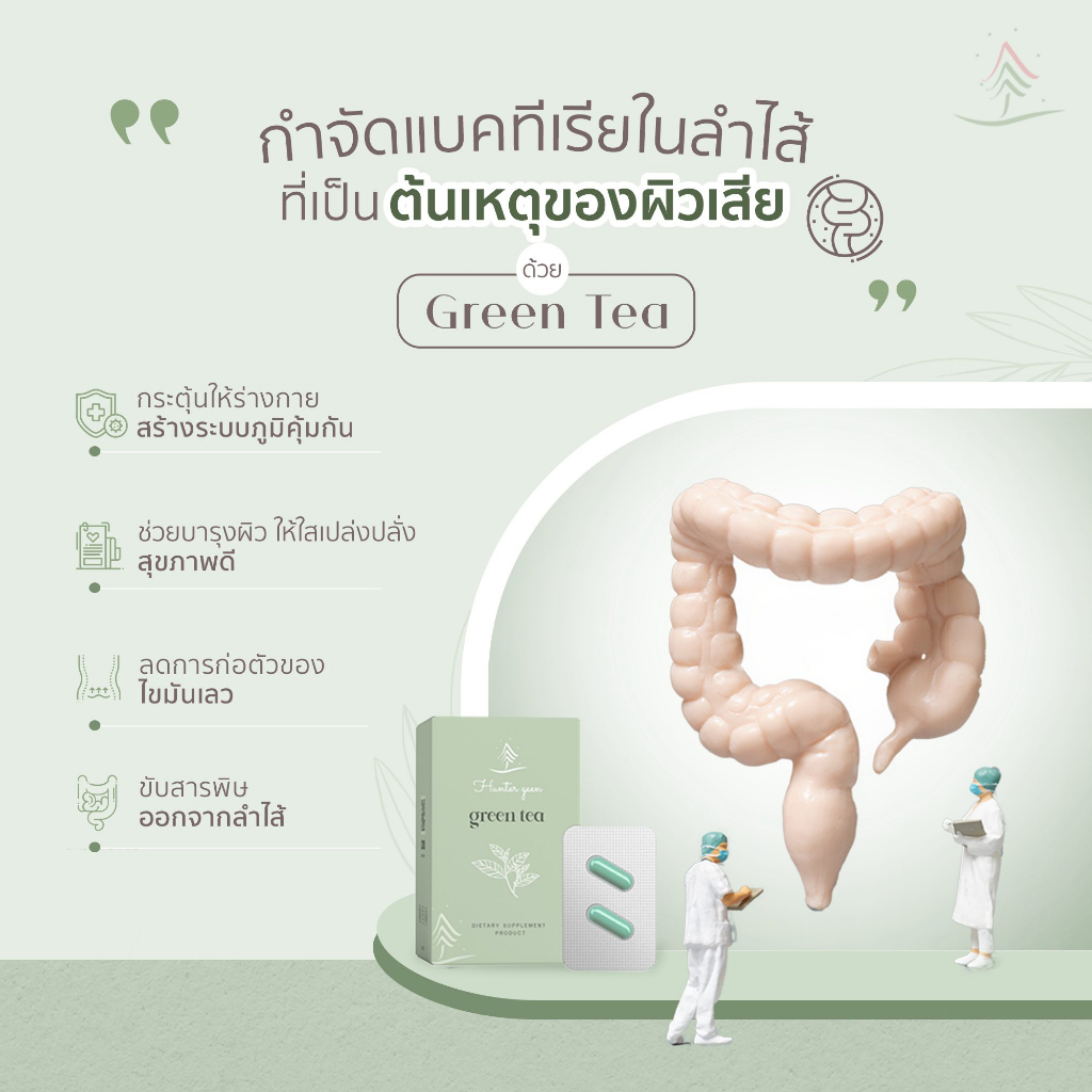 hunter-geen-green-tea-20เม็ด-ฮันเตอร์กรีน-อาหารเสริมลดน้ำหนัก-ช่วยเร่งการเผาผลาญ-ลดกินจุกจิก-ดีท็อกซ์-มีบาซิลลัส-1-กล่อง