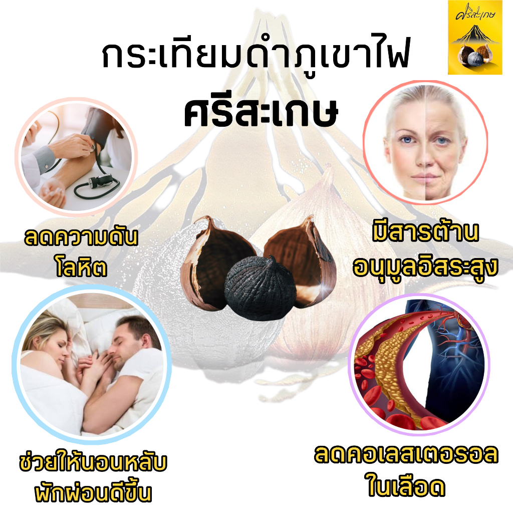 ภาพสินค้า**ราคาส่ง **กระเทียมดำภูเขาไฟ (กระปุกละ 500 กรัม = (โปร 2 แถม 1)" เสริมภูมิคุ้มกัน" ไม่รวมน้ำหนักกระปุก ( ผลิตใหม่ ) จากร้าน srisaket_borthong บน Shopee ภาพที่ 7