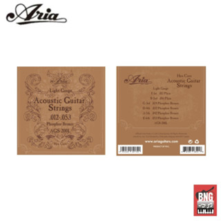 สายกีตาร์โปร่ง ARIA AGS-200L LIGHT GAUGE ACOUSTIC GUITAR STRING .012-.053