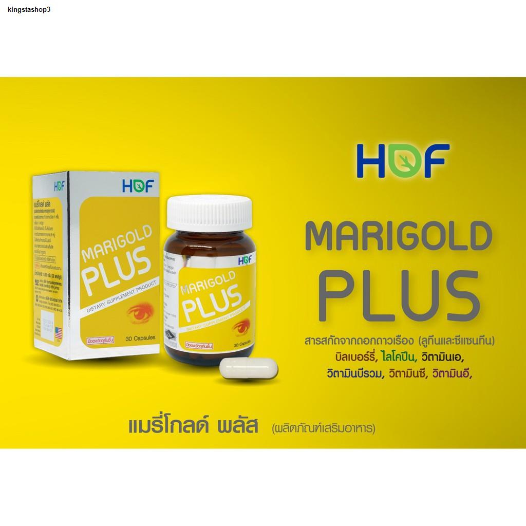 hof-marigold-plus-แมรี่โกลด์-พลัส-pharmahof-บำรุงสายตา-มี-ลูทีน-lutein-bilberry-ไลโคปีน-วิตามินเอ-vitamin-a