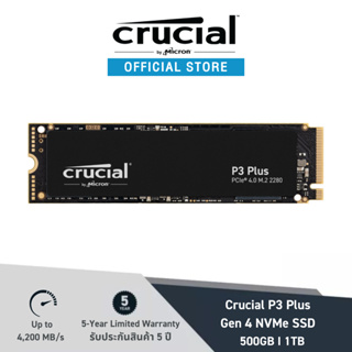 ภาพหน้าปกสินค้า[ใส่โค้ด 20CCB525 ลด 20%] Crucial P3 Plus PCIe® 4.0 3D NAND NVMe M.2 SSD (500GB /1TB) (เอสเอสดี) ที่เกี่ยวข้อง