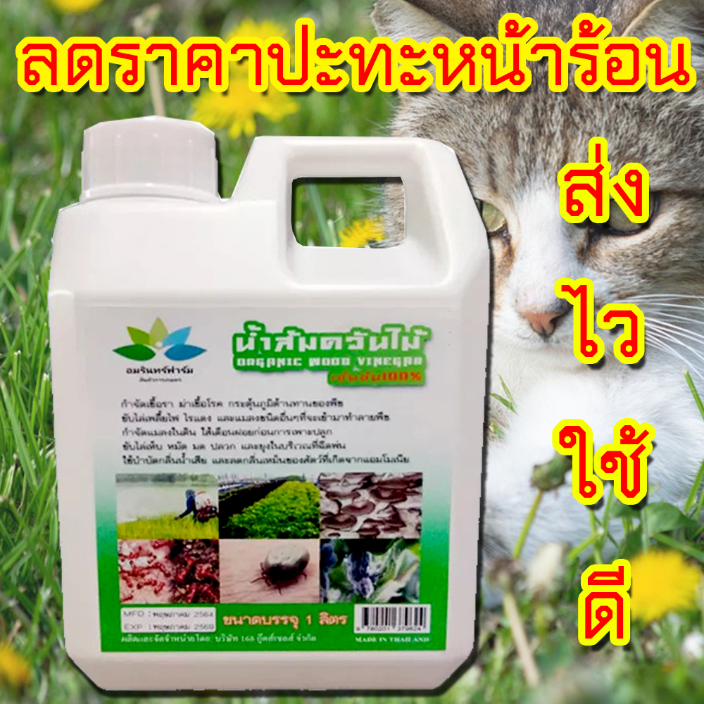 ภาพหน้าปกสินค้าน้ำส้มควันไม้1ลิตรกำจัดเห็บหมัด ไรแมวดับกลิ่น ทรายแมว กลิ่นตัวสัตว์ไล่ยุง แก้คัน จากร้าน makmeshop บน Shopee