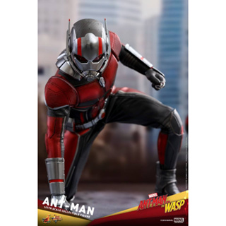 HOT TOYS MMS 497 ANT-MAN AND THE WASP - ANT-MAN (มือสอง)