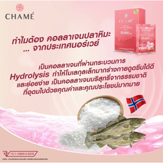 ภาพขนาดย่อของภาพหน้าปกสินค้าชาเม่ chame ส่งไว แท้ 100%พร้อมส่ง Chame Collagen Plus 10,000 mg. ชาเม่ คอลลาเจน (1 กล่อง 30 ซอง) จากร้าน honeyjunee บน Shopee ภาพที่ 4