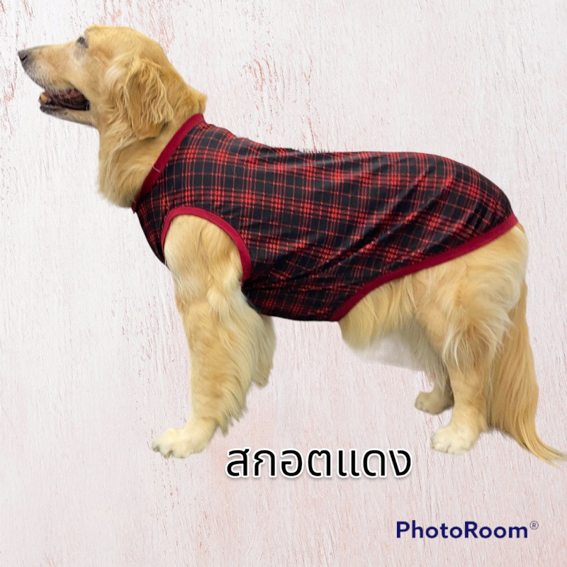 ภาพหน้าปกสินค้าเสื้อสุนัขขนาดใหญ่ เสื้อหมา เสื้อกล้ามสุนัข จากร้าน goldenfashion_shop บน Shopee