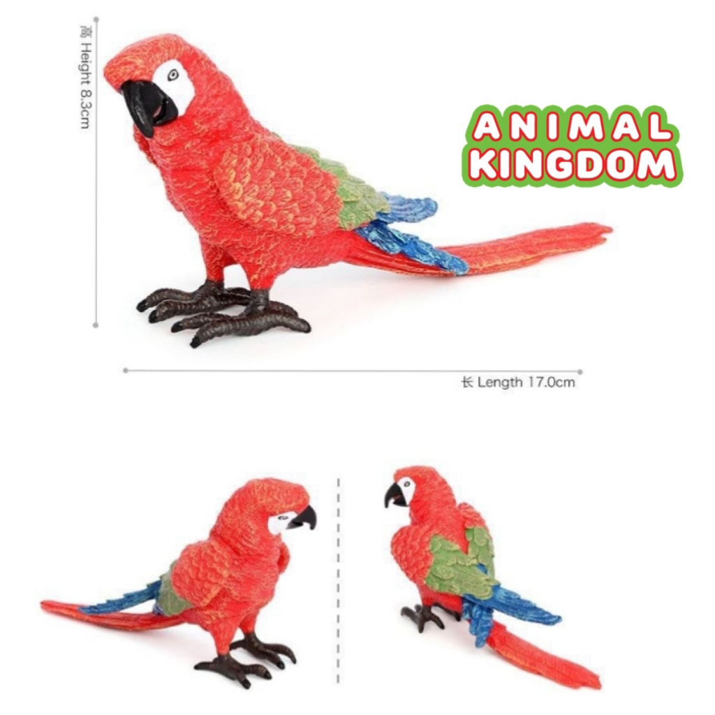 animal-kingdom-โมเดลสัตว์-นกแก้ว-แดง-ขนาด-17-00-cm-จากหาดใหญ่