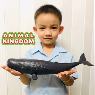 Animal Kingdom - โมเดลสัตว์ ปลาวาฬสเปิร์ม ขนาด 34.00 CM แบบนิ่ม (จากสงขลา)