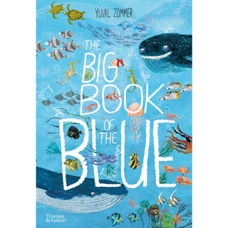 The Big Book of the Blue Hardback The Big Book series English