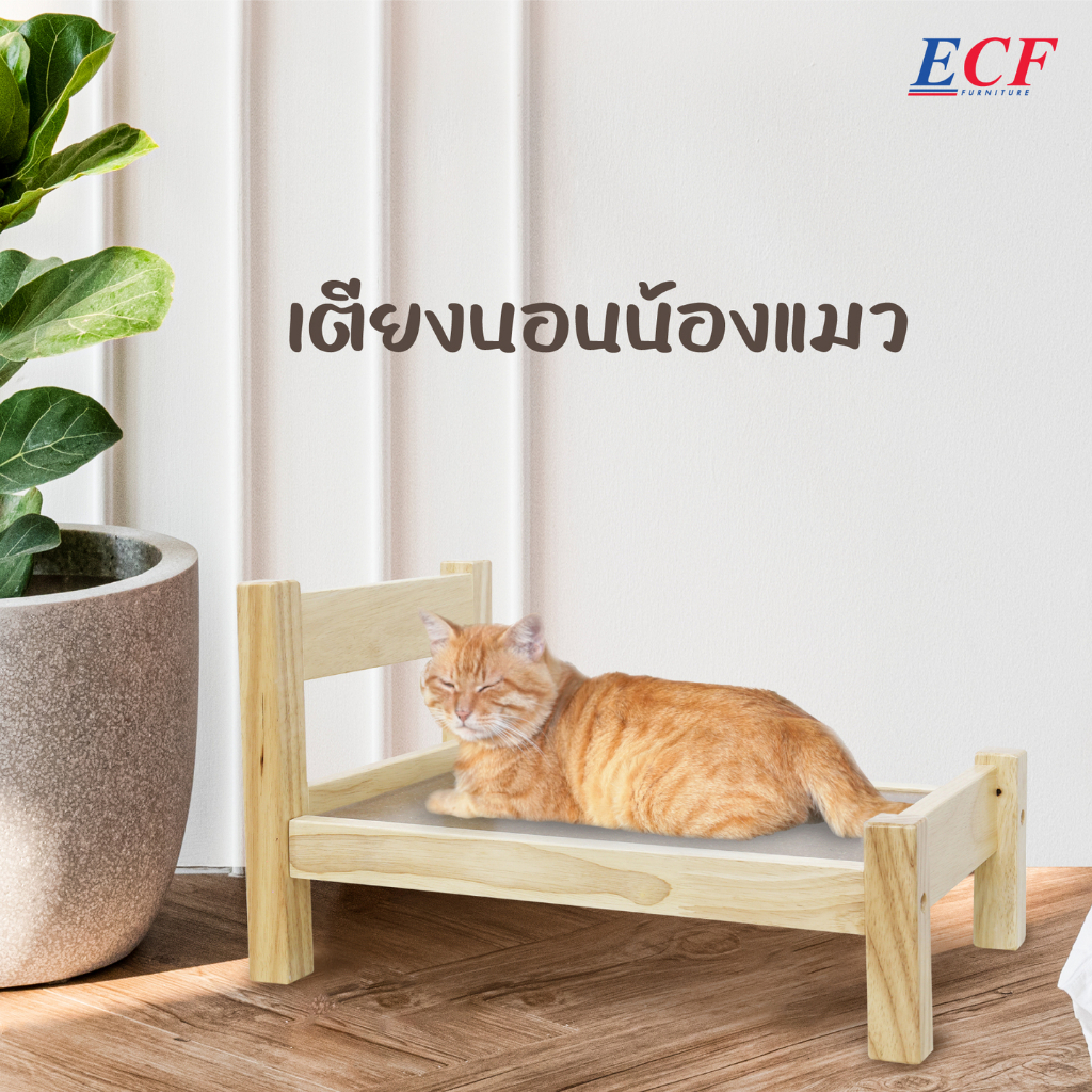 ecf-furniture-เตียงนอนน้องหมา-น้องแมว-ไม้ยางพารา-สำหรับสัตว์เลี้ยง-39107