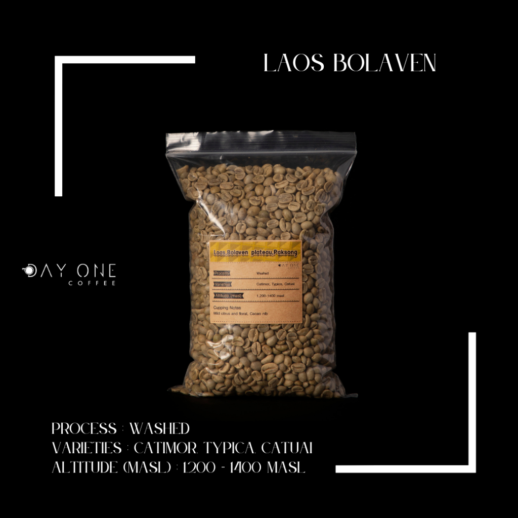 เมล็ดกาแฟดิบอราบิก้า-ขนาด-16-arabica-size-16-day-one-coffee