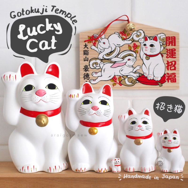พร้อมส่ง-แมวกวักมงคล-maneki-neko-จาก-วัดแมวกวัก-gotokuji-ประเทศญี่ปุ่น